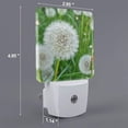 thumbnail image 2 of Cauagu Dandelion Flower In The Meadow Print LED Nightlight,0.5W Night Lights Plug into Wall 1 Pack with Dusk-to-Dawn Light Sensor Soft Glow Lamp for Bathroom Adult Hallway-EU, 2 of 7