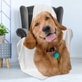 thumbnail image 4 of Golden Retriever Soft Flannel Fleece Blanket, Portrait of Young Pedigreed Dog Wearing a Collar and Tags Domestic Animal, Cozy Plush for Indoor and Outdoor Use, 70" x 90", Multicolor, by Ambesonne, 4 of 5