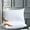 White, variant on EazyTech Hotel-Grade Down Pillow Set of 2 for Back Side Stomach Sleepers - Ultra Soft Supportive Skin-Friendly Cotton Cover - 16.5x27.5in White
