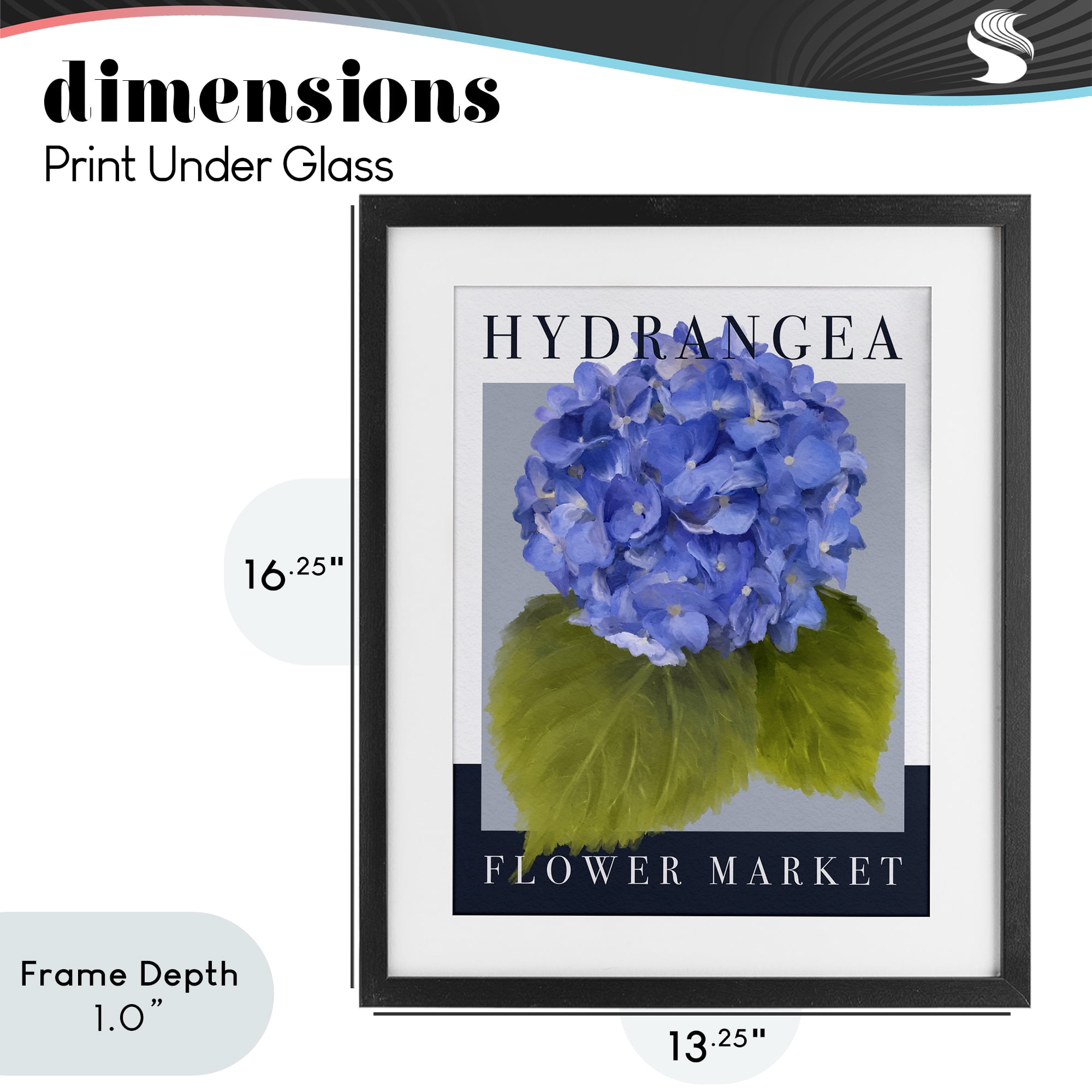 Stupell Industries Hydrangea Flower Market Black Framed Print Under Glass, design by Jennifer Stith