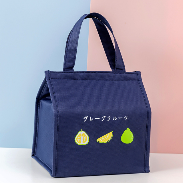 Bolsa de almuerzo impermeable aislada reutilizable para hombres y mujeres, se puede utilizar para picnics en el trabajo y la escuela Fokelyi ZJWJ368-4