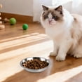 thumbnail image 7 of Sekonow 3 Pack Cat Bowls with Silicone Suction Cup Base, Stainless Steel Shallow Cat Dishes Whisker Friendly for Food Water, Non-Slip Indoor Kitten Basic Metal Plate, 15.6cm/6.1in, 7 of 7