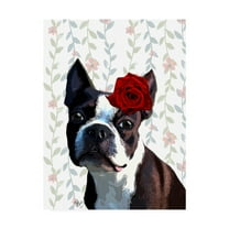 Trademark Fine Art 'Boston Terrier With Rose On Head' Canvas Art by Fab Funky