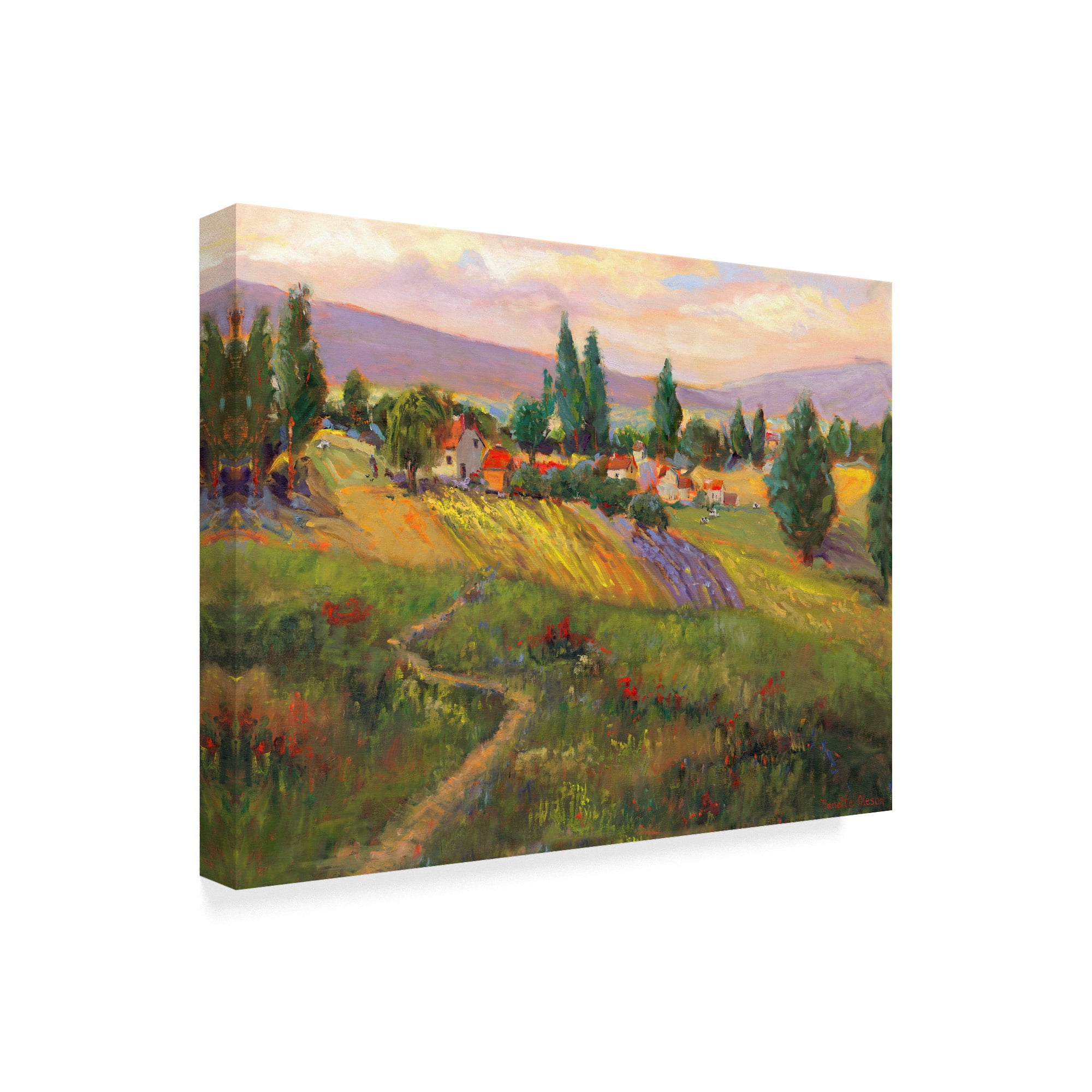Trademark Fine Art 'Vineyard Tapestry III' Canvas Art by Nanette Oleson