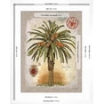 thumbnail image 5 of Art.com Linen Date Palm Tree Art Print by Chad Barrett, White Frame Wall Art, 17" x 21", 5 of 5