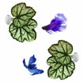 thumbnail image 5 of Betta Fish Hammock Plant Leaf Pad, Fish Spawning Grounds Breeding Resting Bed, Benefits Betta Fish by Simulating the Natural Habitat, Comfortable Rest Area for Fish Aquarium Ornaments 1Pc,Green, 5 of 6