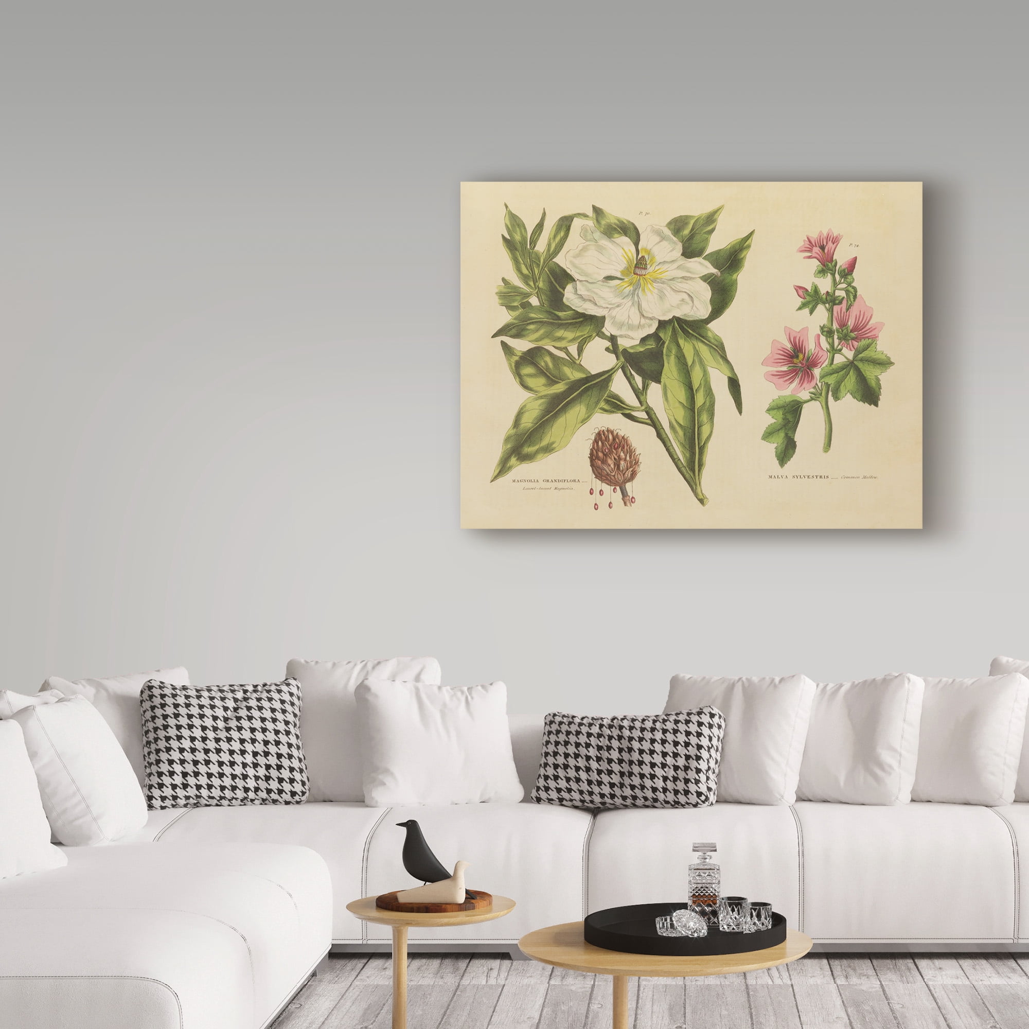 Trademark Fine Art 'Herbal Botanical II' Canvas Art by Wild Apple Portfolio