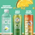 thumbnail image 6 of Sparkling Ice® Naturally Flavored Sparkling Water, Lemon Lime 17 fl oz Plastic Bottle, Allergens Not Contained, 6 of 6