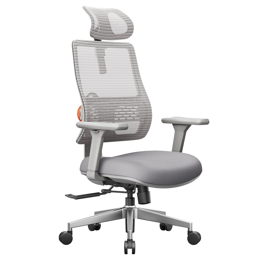 Ergonomic Office Chair – Adaptive Lumbar Support, Multifunctional Adjustments & Certified Comfort NEWTRAL MAGICH003