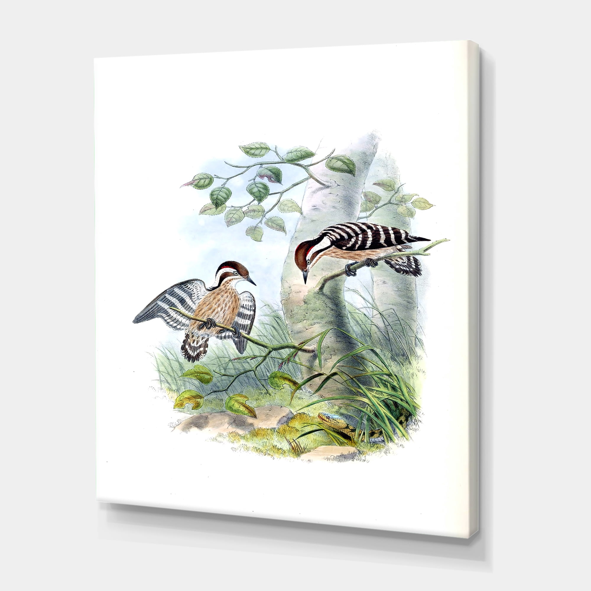 Designart ' Ancient Birds In The Wild I ' Traditional Canvas Wall Art Print