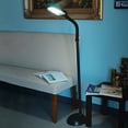 Lavish Home Natural Sunlight Floor Lamp with Bendable Neck 60 Inch ...