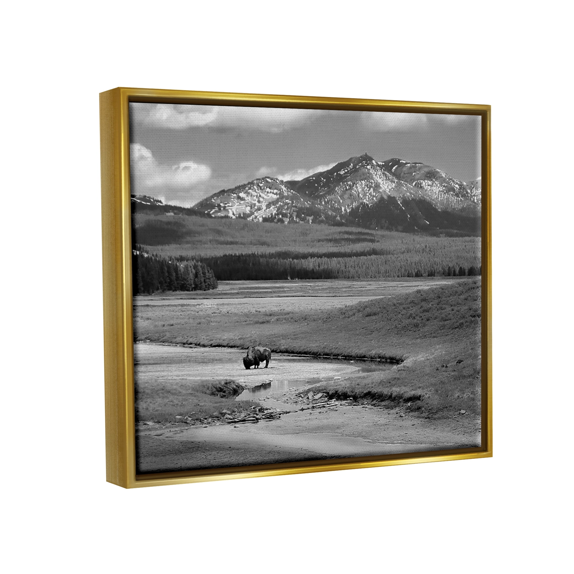Stupell Industries Bison in Mountain Scene Landscape Photography Gold Floater Framed Canvas Art Print Wall Art, 21 x 17