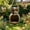 Khaki, variant on Rural Owl Shape Wooden Hanging Bird Feeder, Outdoor Garden Bird Feeding Station Decorative Combo, B