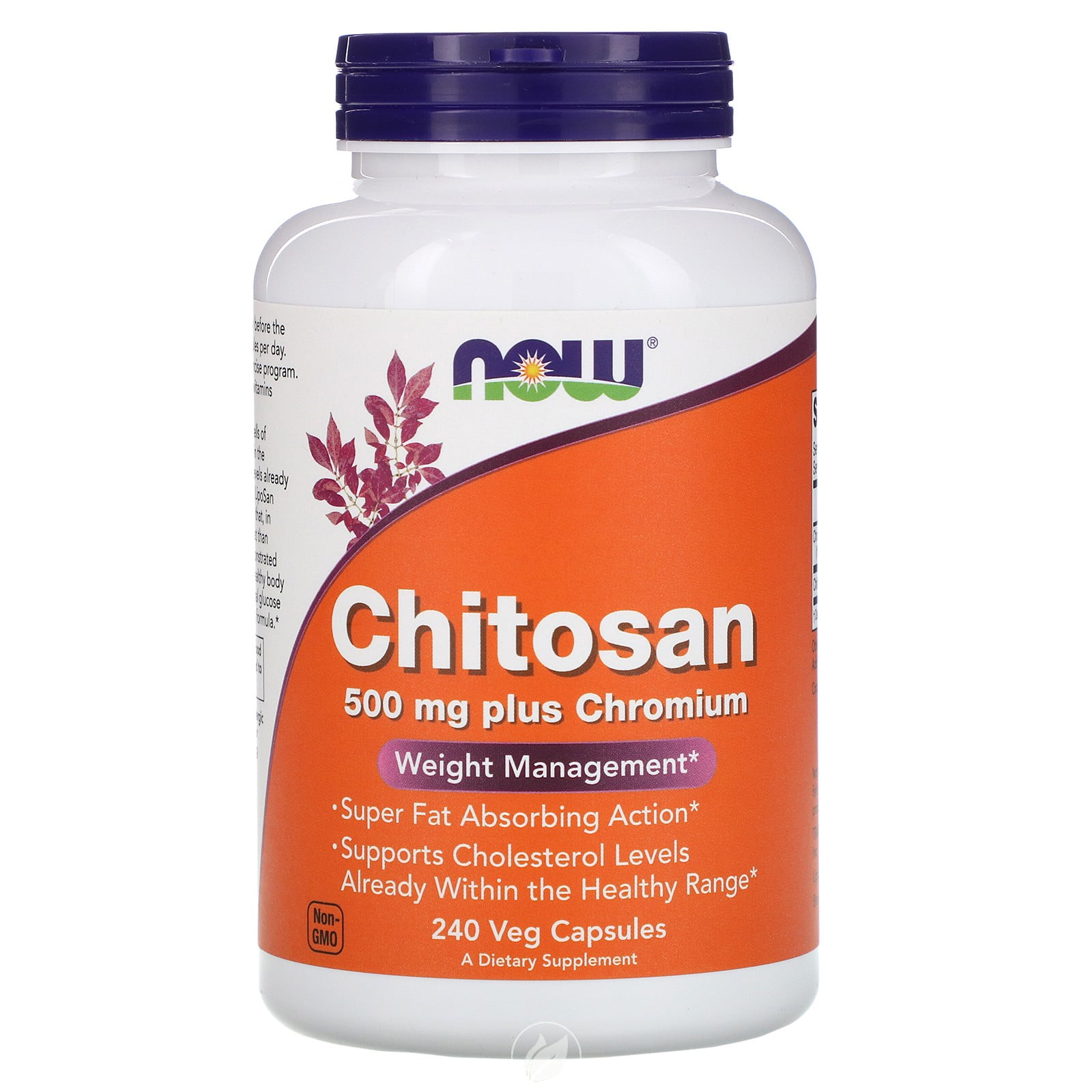 NOW Foods  Chitosan 500mg Plus Chromium 