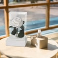thumbnail image 4 of Rosa real preservada en caja de acrílico | Regalo de flor eterna para San Valentín | Recuerdo duradero para mujer, novia, esposa o mamá, 4 of 7