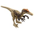 thumbnail image 3 of Figurine articulée ​Austroraptor Meute dangereuse Jurassic World, 3 of 5