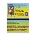thumbnail image 2 of GUANGHONG Adorable Easter Bunny ID Cards – for the Kids’ Easter Egg and Spring Celebrations To Memories! Thank You Cards with Envelopes Mini Blank Note Cards Cards for Every Occasion, 2 of 7