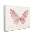 thumbnail image 2 of Stupell Live Wild & Free Pink Butterfly Animals & Insects Painting Gallery Wrapped Canvas Print Wall Art, 2 of 5