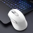 thumbnail image 5 of Ergonomic Wireless 2.4G Computer Mouse, Silent, 3 Adjustable Dpi, 5 of 6