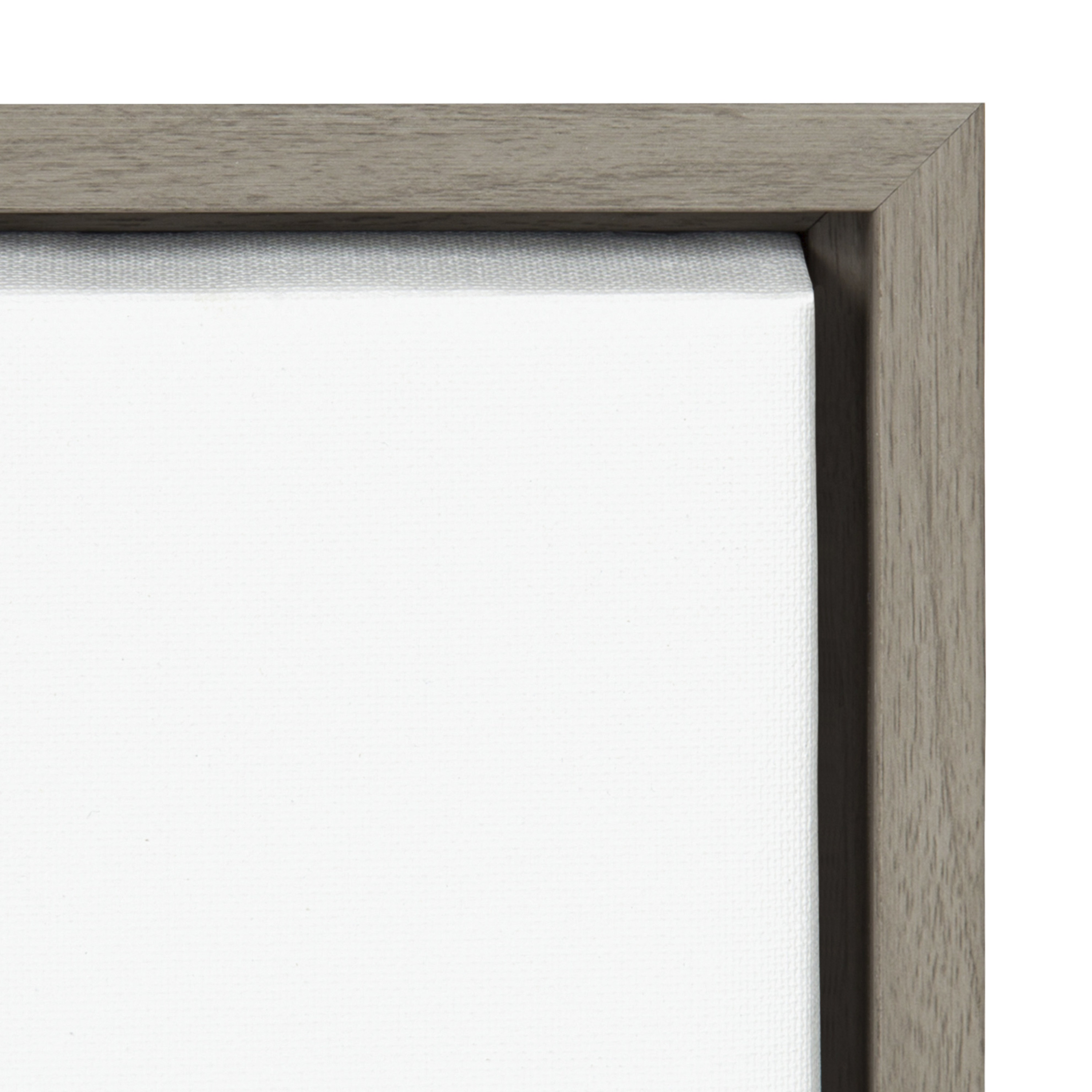Sylvie Alpaca Fluff 18 in x 40 in Framed Photography Canvas Art Print, by Kate and Laurel