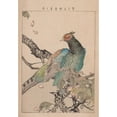 thumbnail image 3 of Kōtei Fukui 11x14 Black Modern Framed Museum Art Print Titled - Kacho Gafu, Pl.09 (1898), 3 of 5