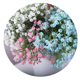 thumbnail image 5 of Xiao Hua 12 flores artificiales Babysbreath, flores falsas, flores artificiales para decoración de bodas, blancas, 5 of 5