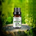 thumbnail image 2 of Recharge d'Huile Parfumée d'Aromathérapie pour Voiture 10 ml, Parfums Floraux et Fruités Longue Durée pour Hommes et Femmes, Options Multi-Parfums pour Diffusion en Voiture et à la Maison, 2 of 8