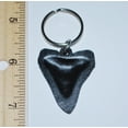 thumbnail image 2 of Megalodon Tooth KEYCHAIN (Metal Replica) Giant Fossil Shark, 2 of 3