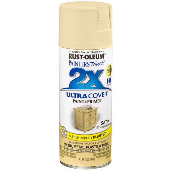Painter's Touch Sat Str Flwr Spray Paint 249065