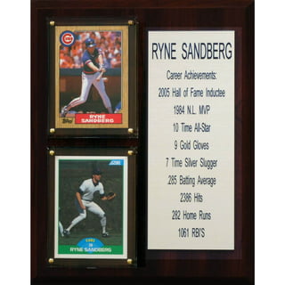 Ryne Sandberg Chicago Cubs Fanatics Authentic Autographed 16 x 20 Hitting  Photograph