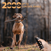 Patpet 4200ft IPX7 Waterproof Dog Training E Collar with 3 Modes for 15-140 Lbs Dogs