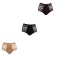 thumbnail image 3 of Rhonda Shear Lace Overlay Pin-Up Brief 3-pack-58351861R486, 3 of 10