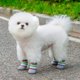 thumbnail image 5 of Ropa Para Mascotas Calcetines Para Perros Y Gatos Protector Contra Arañazos Transpirable Cómodo Lavable Ropa Para Mascotas Para Interior Y Exterior, 5 of 5