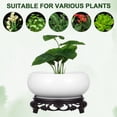 thumbnail image 3 of CIMAXIC Hydroponic Ceramic Planter White 1 Set 6.3X6.3X3.1In, 3 of 8