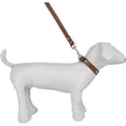 thumbnail image 4 of CUECUEPET Embellished Bone Charm Dog Collar and 44.5 inch Leash for Walking [Multiple Sizes], 4 of 7