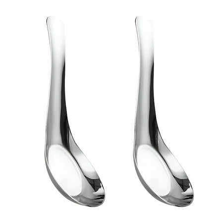 ACDANC 2 Pcs Tablespoon Asian Soup Spoons Multipurpose Eating Miso Kitchen Utensils Noodles Flatware Child Toddler Soup Spoon