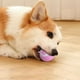 thumbnail image 5 of Juguetes de pelota automáticos, pelota autogiratoria de ABS para jugar a perros gatitos (rosa), 5 of 5