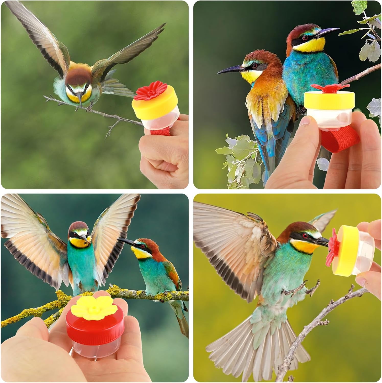 Zaoz 2 Pack Hummingbird Hand Feeder Flower Handheld Hummingbird Feeders Mini Hummingbird Feeder Ring Style Hummingbird Ring Feeder for Outdoors Hand Feeding Tools A418