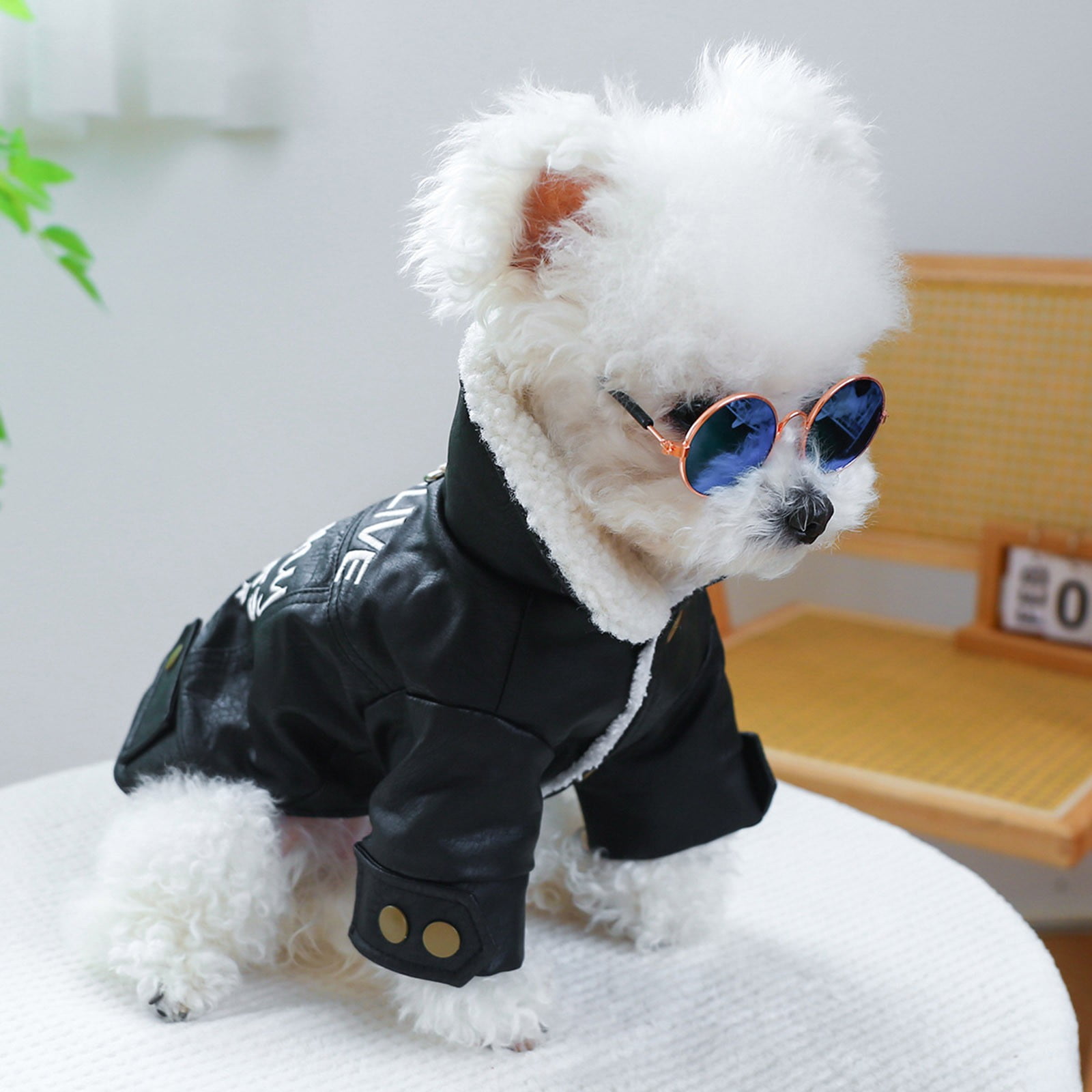 SIfdSeng Dog Shirts for Small Dogs Boy Fall Pet Circle Dog SIfdSeng Dog Shirts for Small Dogs Boy Fall Pet Circle Dog