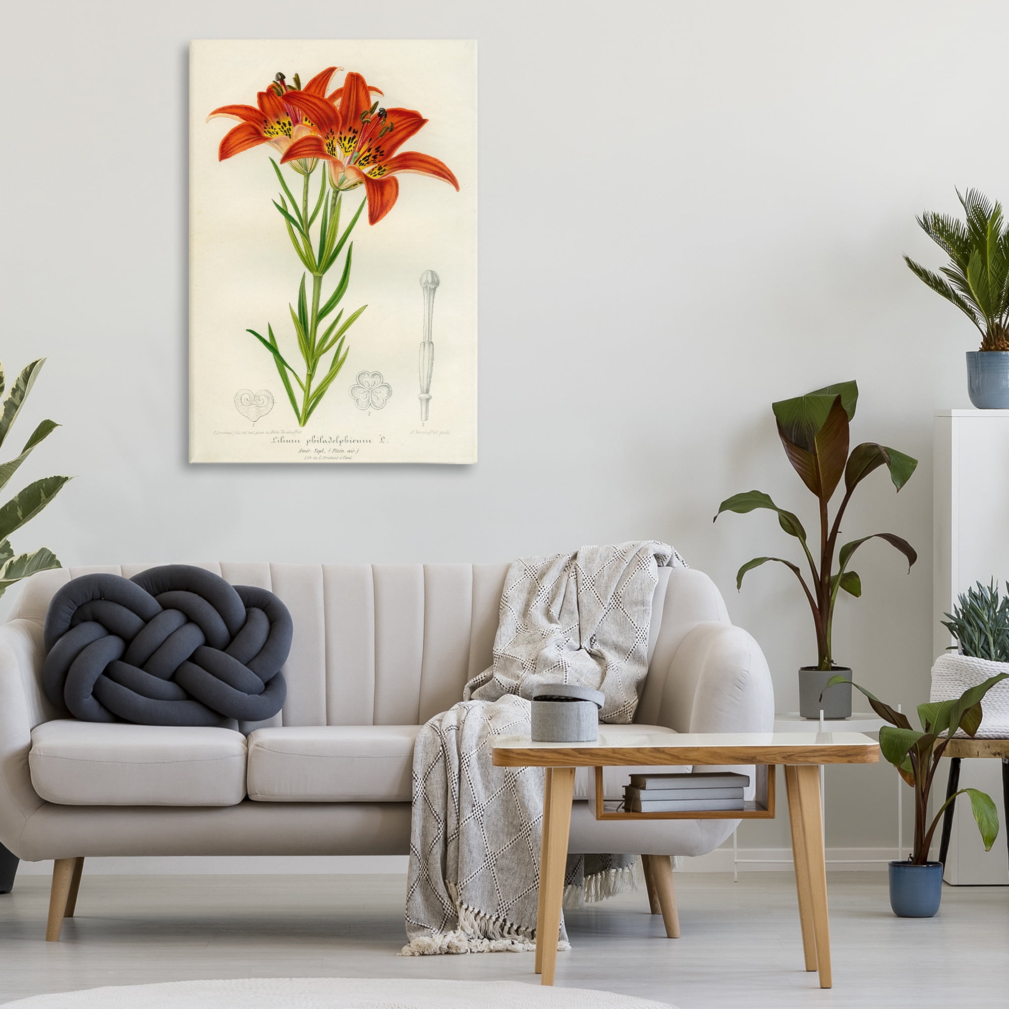 Stupell Industries Western Red Lily Canvas Wall Art, design by Print Collection
