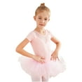 thumbnail image 2 of Odeerbi Ballet Leotards For Girls Gymnastics Leotards Baby Girls Children's Dance Clothes Summer Short Sleeves Training Clothes One-piece Performance Skirt Set Pink, 2 of 9