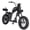 BLACK, variant on BIGNIU BG-XP Electric Bike for Adults – 1500W Motor, 36+ MPH E Chopper Bike 52V 29.4Ah UL 2849