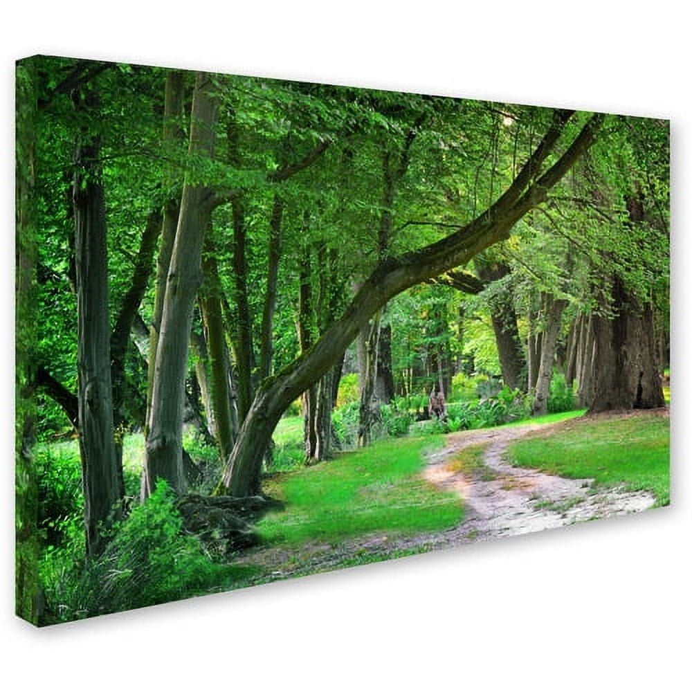 Trademark Fine Art "Intimate Landscape" Canvas Art by Philippe Sainte-Laudy