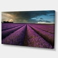 thumbnail image 2 of Lavender Field and Dramatic Sky - Floral Canvas Art Print, 2 of 3