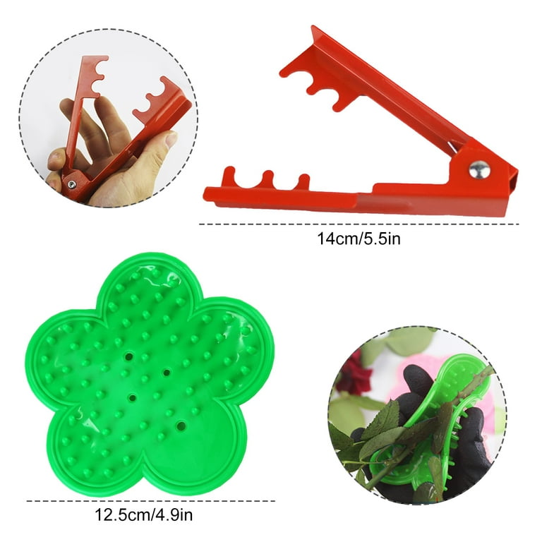 Toorise 3Pcs Rose Leaf Thorn Stripper Ergonomic Rose Thorn Remover Tool  Portable Professional Garden Hand Tool with Gloves for Gardening Flower  Arrangement Trimming 