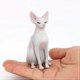 thumbnail image 4 of Figura de gato esfinge de resina, modelo de gato sin pelo, estatua de gato esfinge sin pelo para decoración del hogar, color gris., 4 of 5