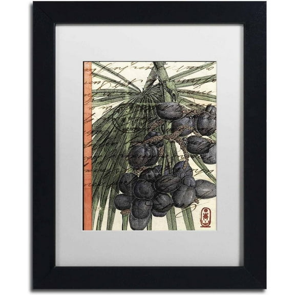 Trademark Fine Art 'Plums' Canvas Art by Nick Bantock, White Matte, Black Frame