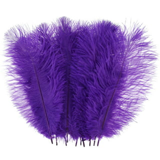 HaiMay 200 Pieces Purple Feathers for Craft Wedding Home Party Decorations,  6-8 Inches Goose Feathers Purple Craft Feathers