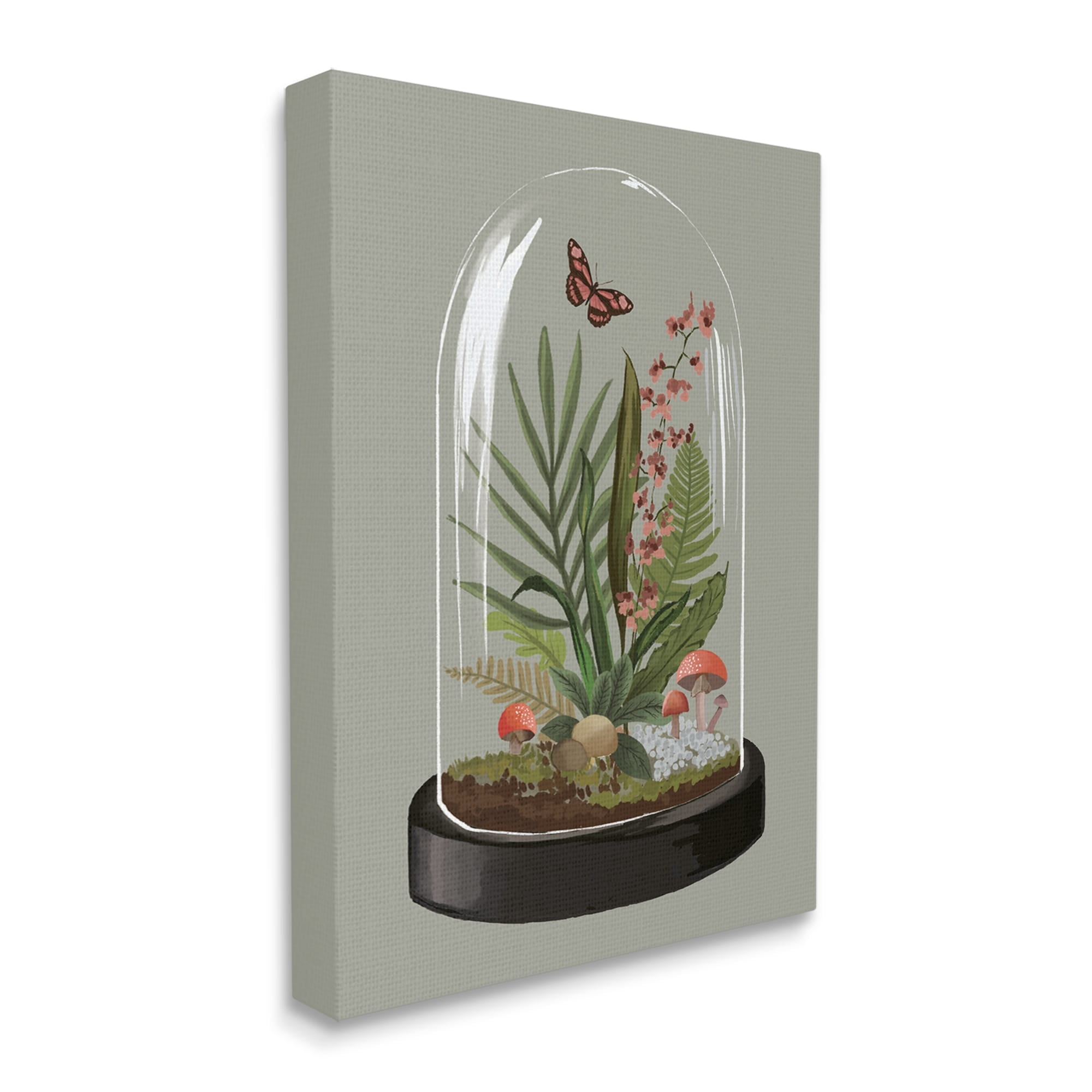 Stupell Industries Terrarium Dome Wildlife Nature Blooming Butterfly Botanicals Graphic Art Gallery Wrapped Canvas Print Wall Art, Design by House of Rose
