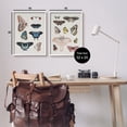 thumbnail image 4 of Stupell Industries Vintage Butterflies & Moths Animals & Insects Painting White Framed Art Print Wall Art, 16 x 20, 4 of 10